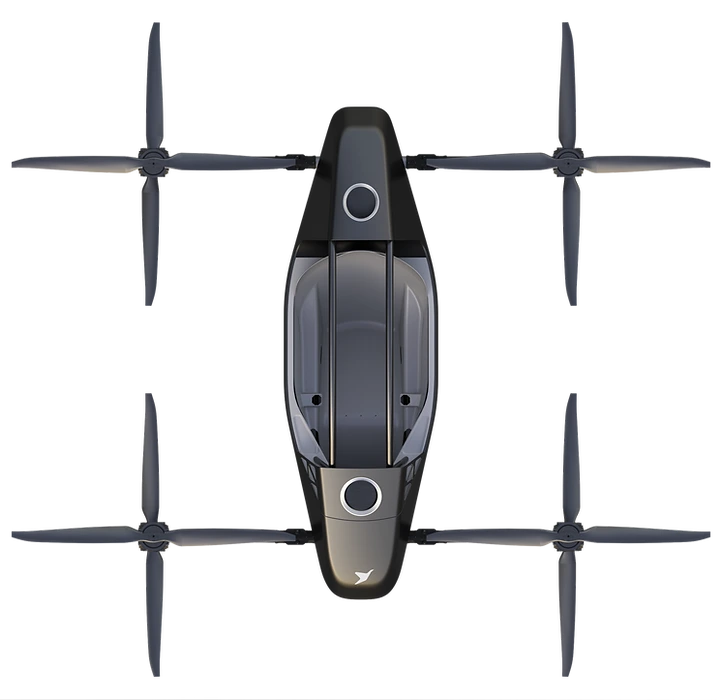 HayesX-250 Best In Class